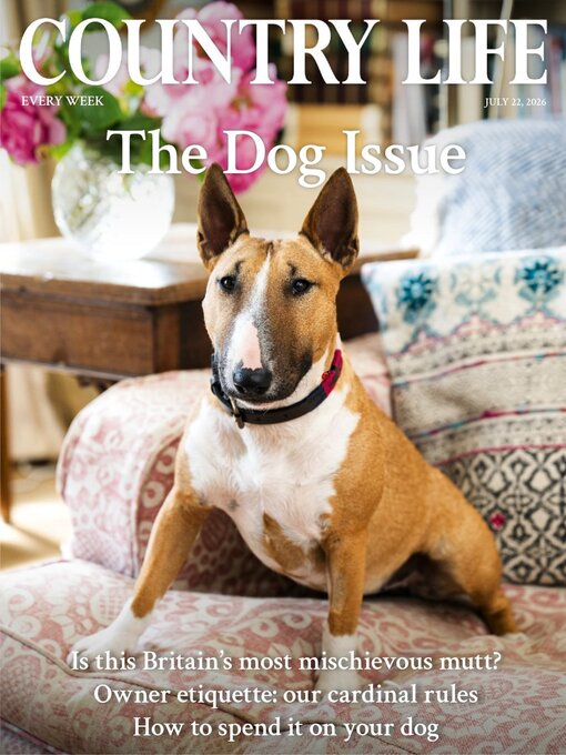 Cover image for Country Life
